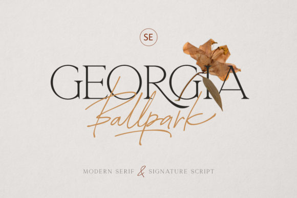 Georgia Ballpark: A Serif Font That Elevates Campaign Design